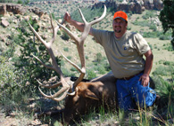 Elk