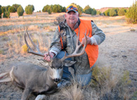 Mule Deer